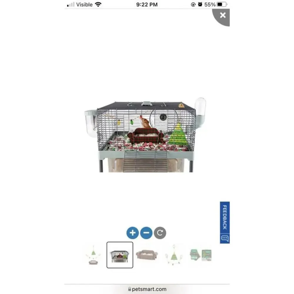 Merry & Bright Holiday Home Decor Small Pet Gift Set Build A Couch Holiday Home